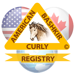 American Bashkir Curly Horse Registry (ABCR)