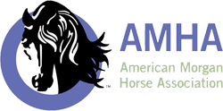 American Morgan Horse Association