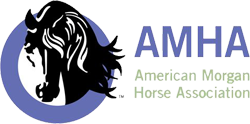 American Morgan Horse Association