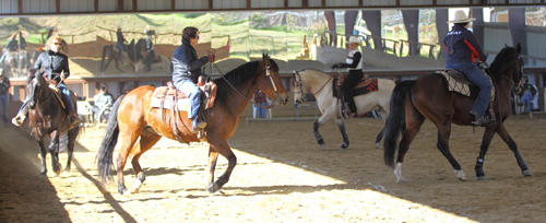 Western Dressage Clinic - working 10 meter circles